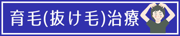 育毛（抜け毛）治療